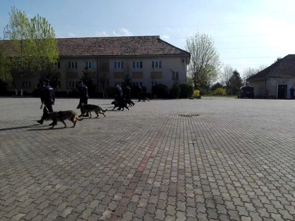 Câinii au făcut demonstraţii în faţa celor prezenţi FOTO Claudia Untaru