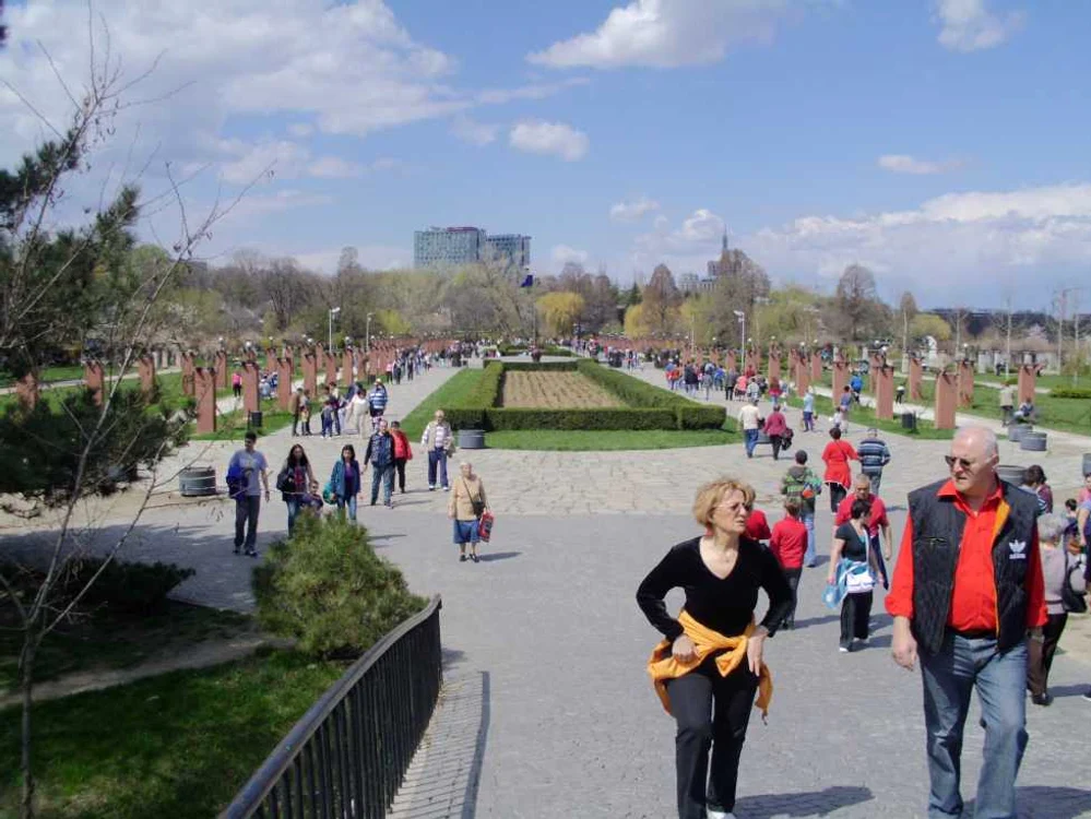 Cei mai mulţi şomeri au între 40 şi 49 de ani FOTO Adevărul