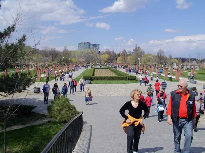 Cei mai mulţi şomeri au între 40 şi 49 de ani FOTO Adevărul