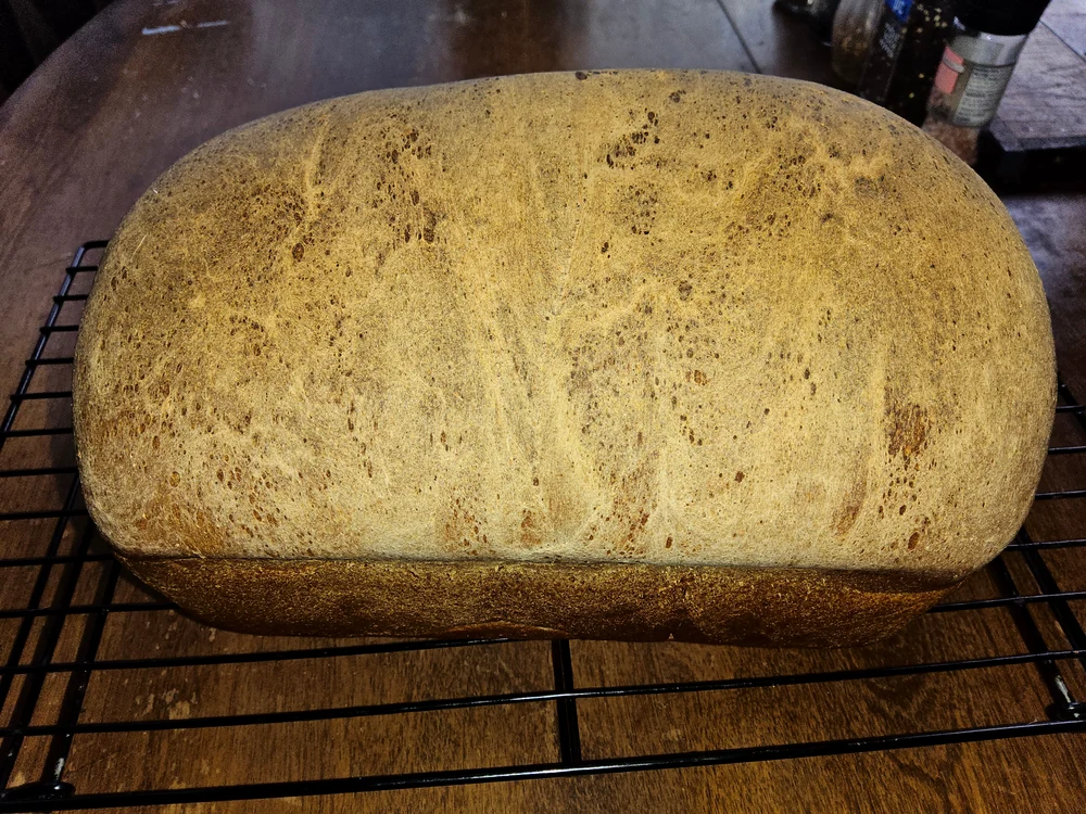 Pumpernickel  jpg