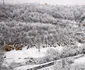 mina ghelari ruine