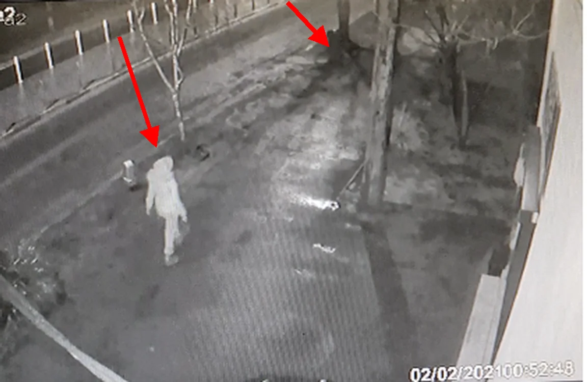 
    Femeia se plimba pe trotuar, a oprit în dreptul tomberonului plin cu gunoi și l-a luat cu eaFoto: cronica-gaestiului.ro  