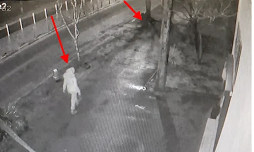 hoata si tomberonul png