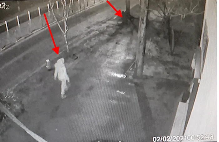 
    Femeia se plimba pe trotuar, a oprit în dreptul tomberonului plin cu gunoi și l-a luat cu eaFoto: cronica-gaestiului.ro  