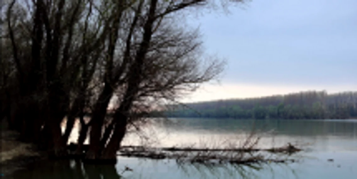Natura primăvara în Parcul Naţional Măcin Sursa turism-macin.ro