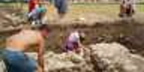 Spa roman descoperit in Banat 8