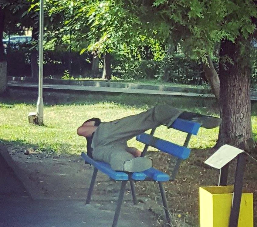 
    Ieri, într-un parc din Târgu-JiuFoto: Dan Popescu  