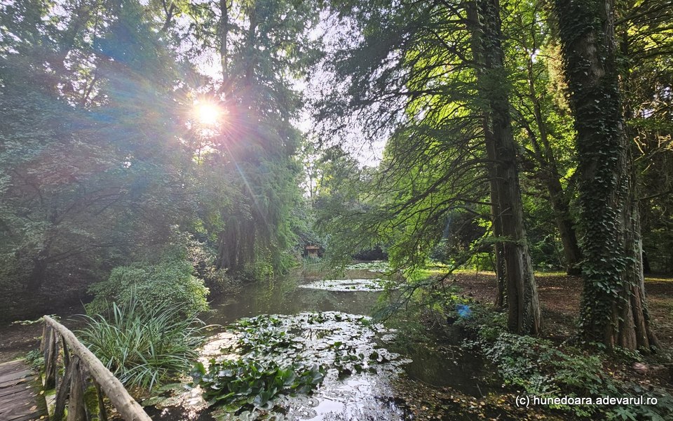 Cel mai vechi parc dendrologic din România, transformat spectaculos odată cu venirea toamnei VIDEO