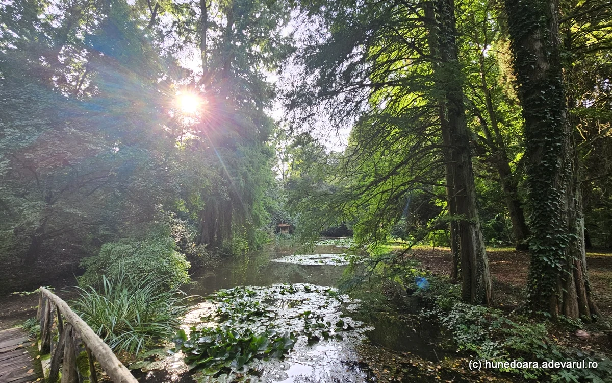 Parcul dendrologic Simeria. Foto: Daniel Guță. ADEVĂRUL