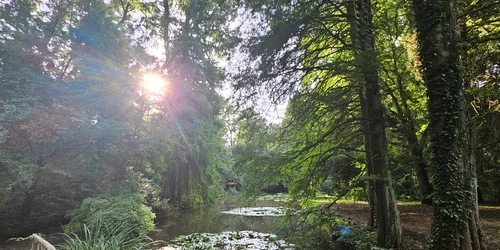 Parcul dendrologic foto Daniel Guță  ADEVĂRUL (36) jpg