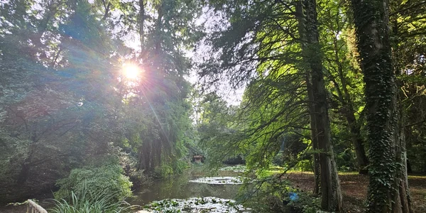 Parcul dendrologic foto Daniel Guță  ADEVĂRUL (36) jpg