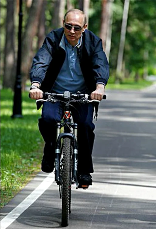 4 vladimir putin avere branduri lux 2 png png