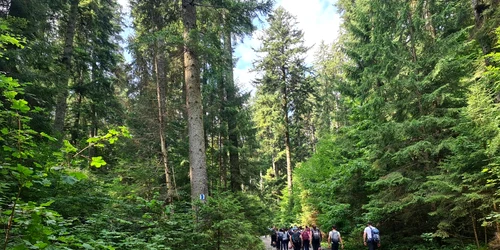 „Sănătate pe cărări montane” este finanțat de Ministerul Familiei, Tineretului și Egalității de Șanse. FOTO Facebook