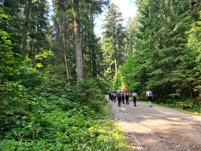 Pe cărări de munte SURSA Chindia Jurasic Park