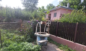 fantani secate cerchejeni jpg