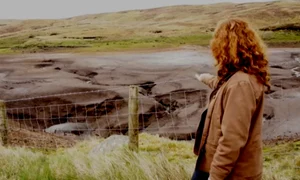 WhatsApp Image 2026 01 15 at 17 44 43 jpeg