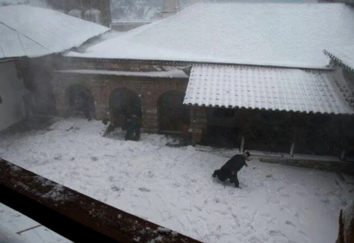 Nu a trebuit mult ca cei aflaţi jos să riposteze