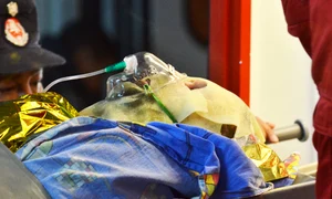 club colectiv victima pe targa 0 jpeg