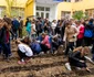 Brândușa Galbenă FOTO Școala Gimnazială 27