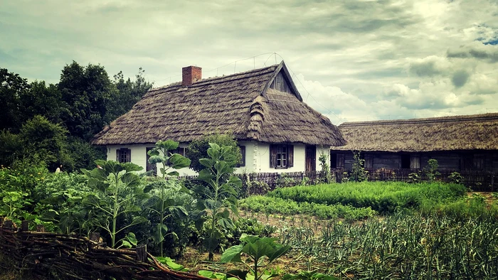 Viața la țară / Foto: Pixabay