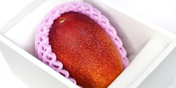 mango Oul Soarelui shutterstock 2181487341 jpg