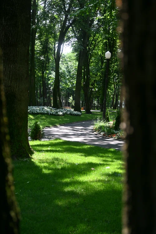 Parcul Copou Iaşi SURSĂ Cristian Hitruc