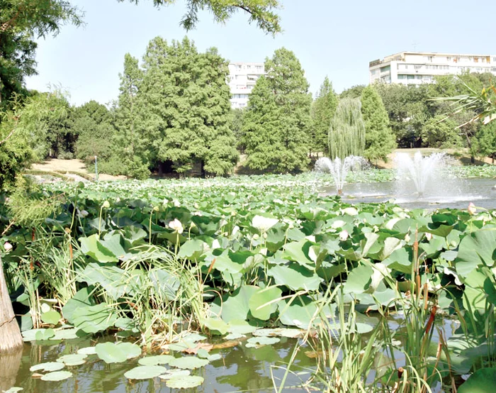 Lacul Circului oferă  o privelişte fără cusur