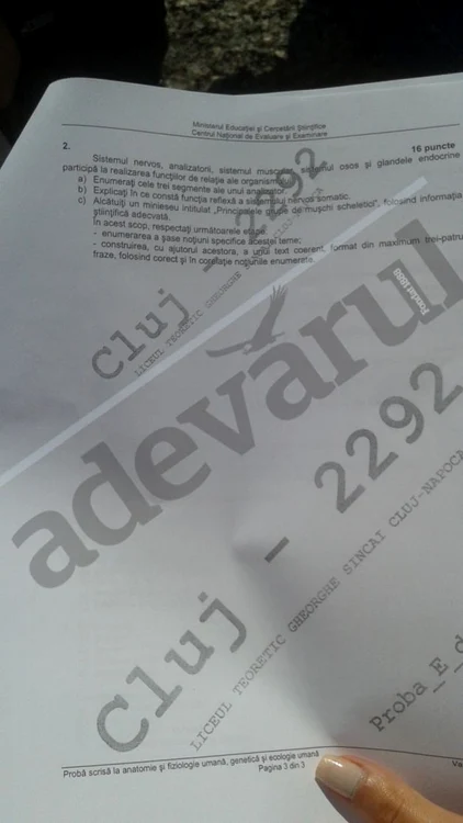 Bac 2015 subiecte Biologie- Anatomie, prima sesiune