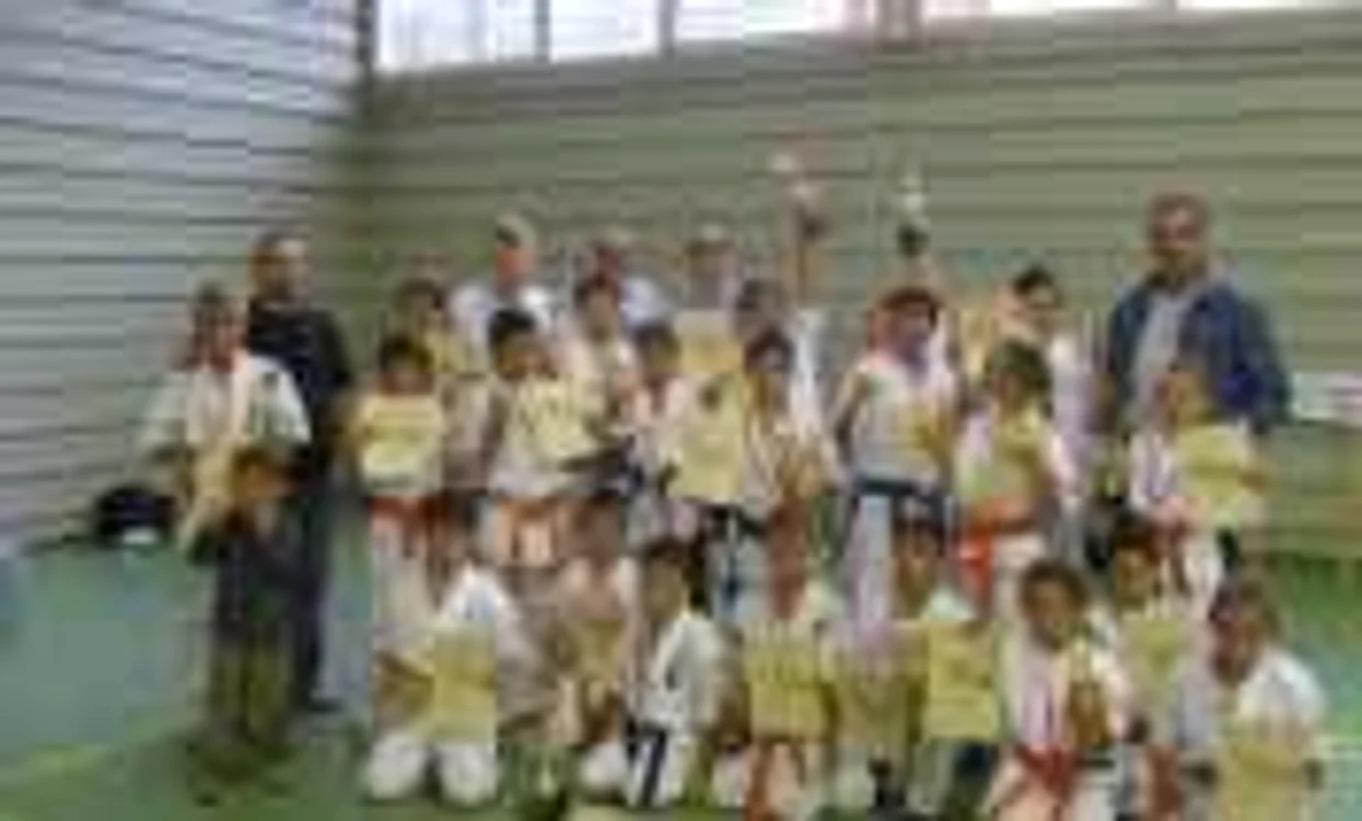 Concurs de karate