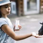 Ferme de animale Foto Freepik (2) jpg