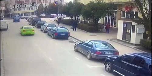 Oameni atacaţi de mistreţi în Sălaj