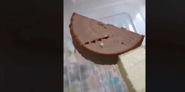 viermi