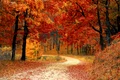toamna pixabay jpg