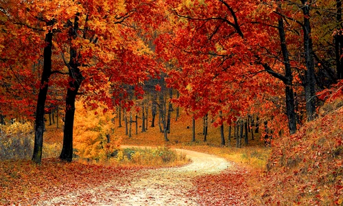 toamna pixabay jpg