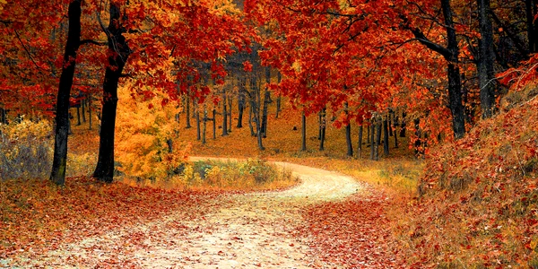 toamna pixabay jpg