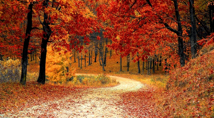 Locul din România care se transformă total toamna / foto: Pixabay