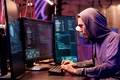 asian criminal hood hacking server stealing data while committing online crime young hacker running illegal malicious software code computer screen cracking password jpg