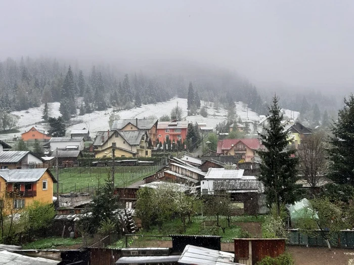 ninsoare Suceava
