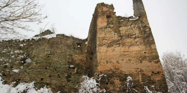 cetatea colt