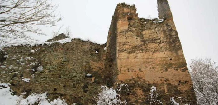 Cetatea Colţ. FOTO: Daniel Guţă. ADEVĂRUL.