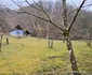 Comuna Bucureșci din Hunedoara Foto Daniel Guță ADEVĂRUL (27) jpg