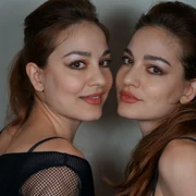 gemenele de la indiggo