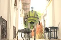 roboti curatenie targu mures captura video jpg