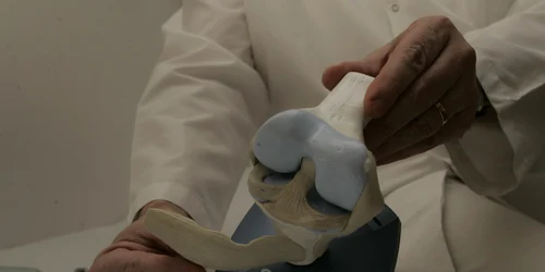 Genunchi cauciuc Arhiva