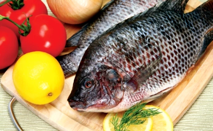 
    Află cum se prepară peştele!clickpoftabuna.ro  