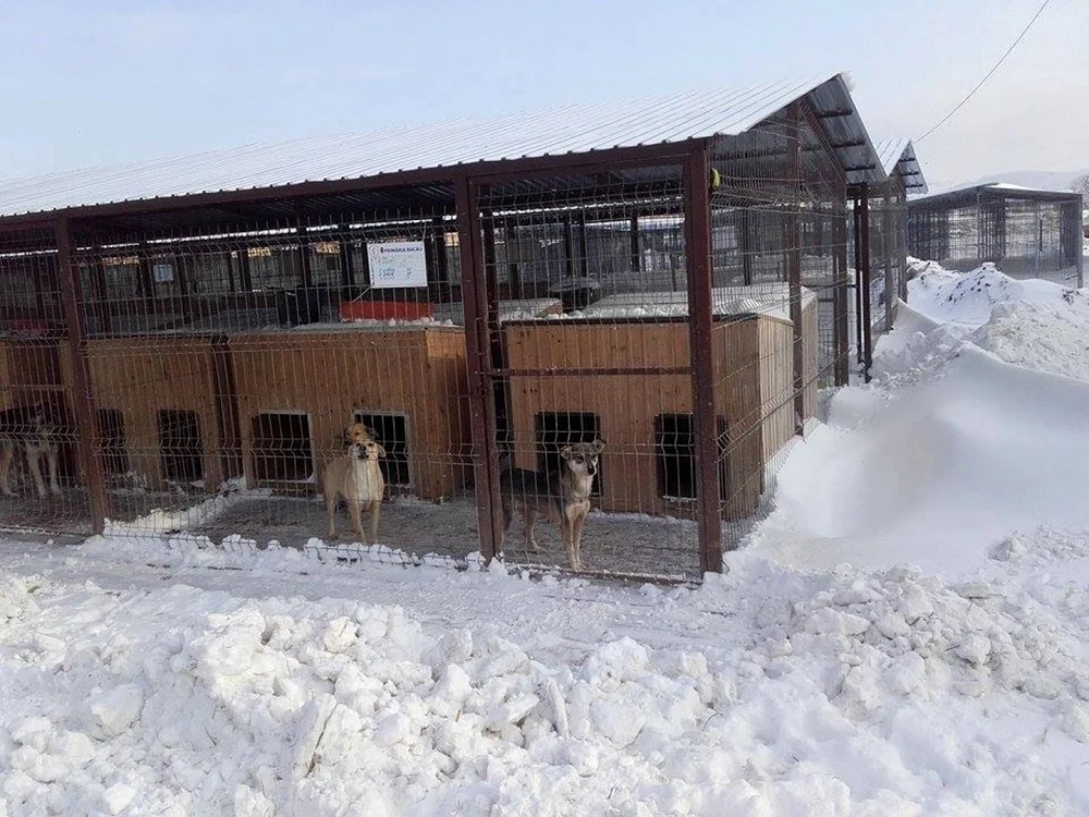 Primele 30 de boxe au fost introduse sub structura metalică realizată în adăpost