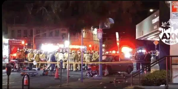 los angeles gif gif