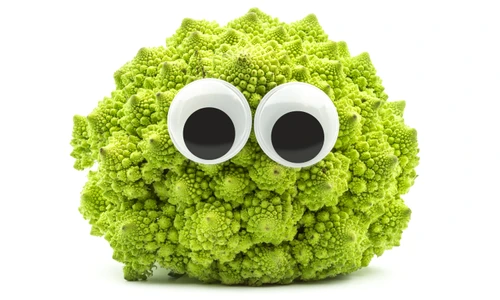 1 shutterstock 625679840 jpg jpeg