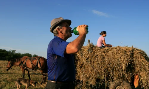 Priorităţi rurale jpeg