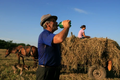 Priorităţi rurale jpeg